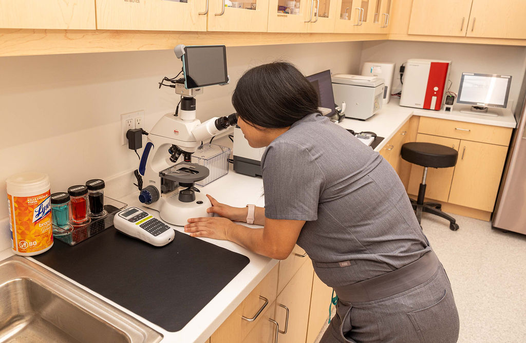 Veterinarian viewing slides on a microscope